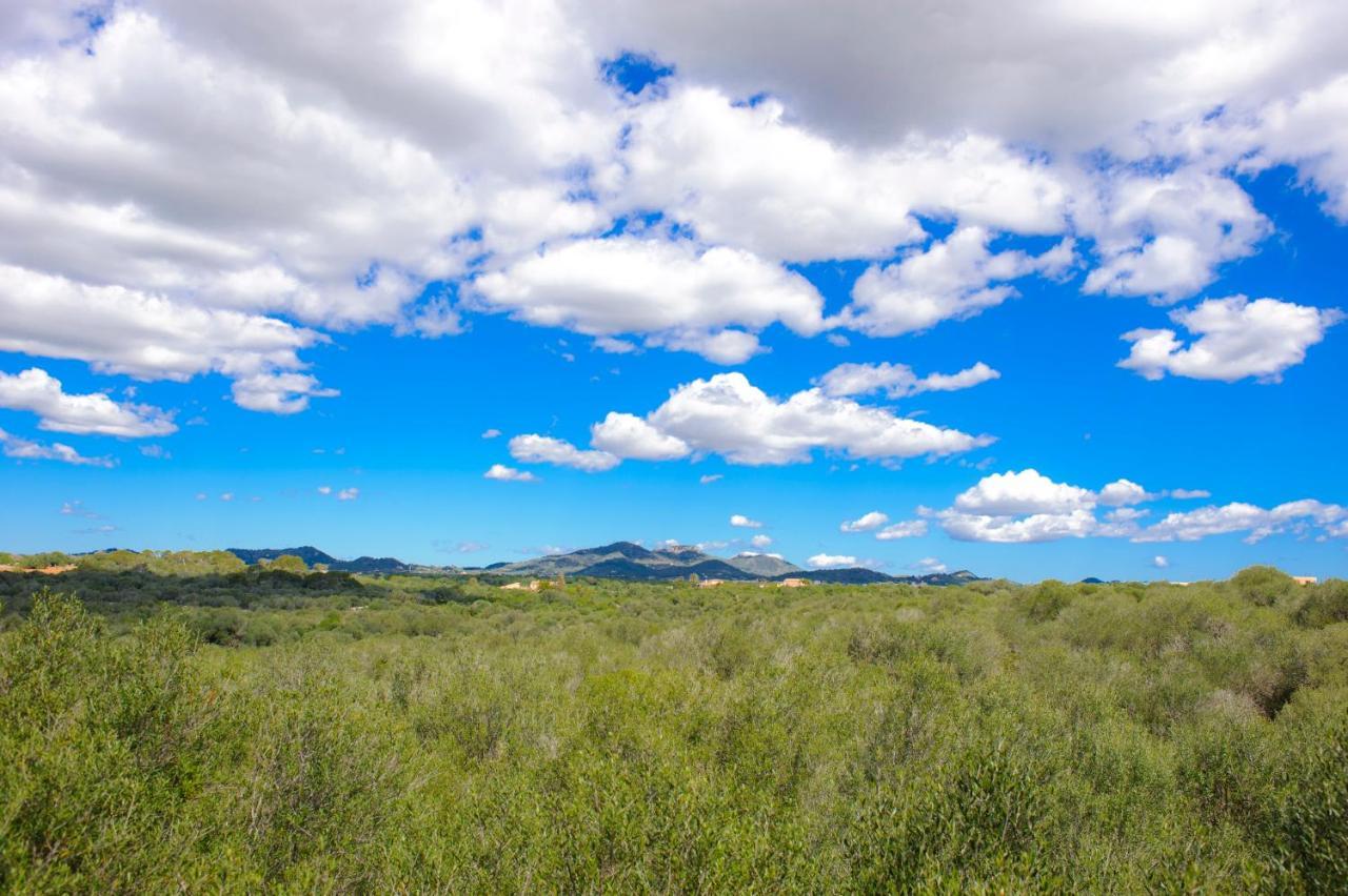 Finca Pleta De Sa Punta Portopetro Dış mekan fotoğraf
